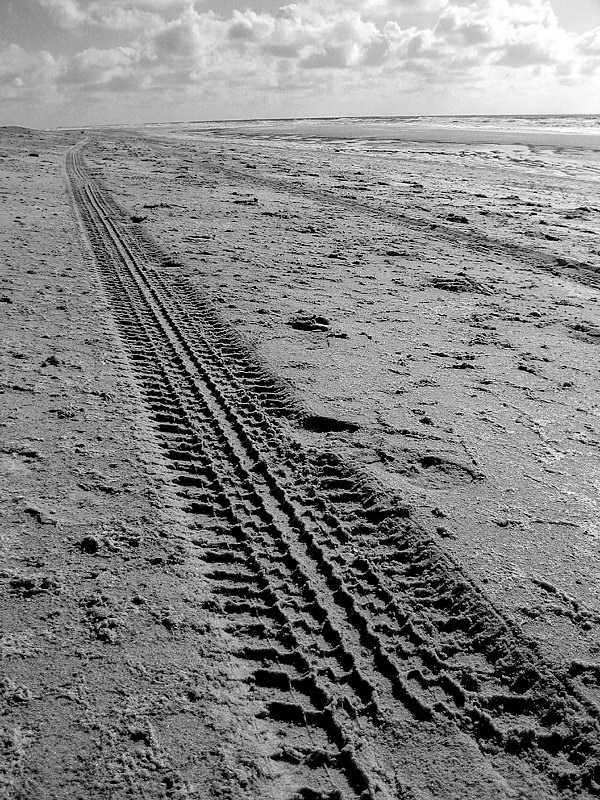 Texel  Strand  PICT 1706 Kopie.jpg - Der Weg ist das Ziel
